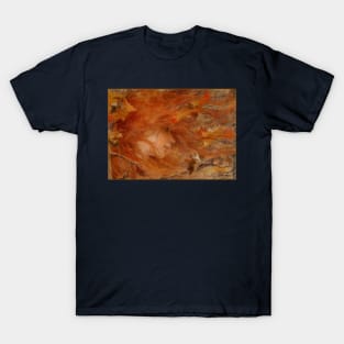 Gust of Wind aka Storm - Lucien Levy-Dhurmer T-Shirt